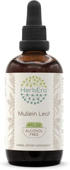 HerbEra Mullein Leaf Tincture